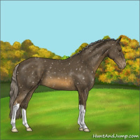 Horse Color:Chocolate Palomino Mushroom Snowflake Varnish 