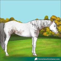 Horse Color:Brown Ice Splash Tobiano 