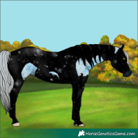 Horse Color:ERROR: UNKNOWN ANOMALY