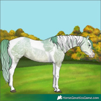 Horse Color:Watercolor Brown Chinchilla Ice Snowdrop Pearl Splash Tobiano 