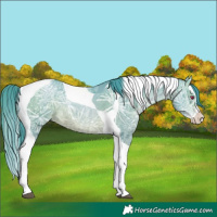 Horse Color:Watercolor Brown Chinchilla Ice Pearl Splash Tobiano 