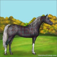 Horse Color:Watercolor Plaid  Midnight Silver Bay Onyx 