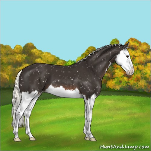 Horse Color:Liver Chestnut Mushroom Splash Snowflake Varnish 