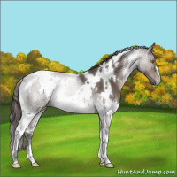 Horse Color:White Spotted Brown Dun Mushroom Varnish 