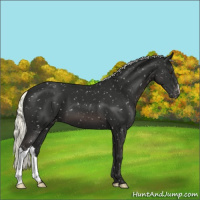 Horse Color:Liver Chestnut Mushroom Snowflake Varnish