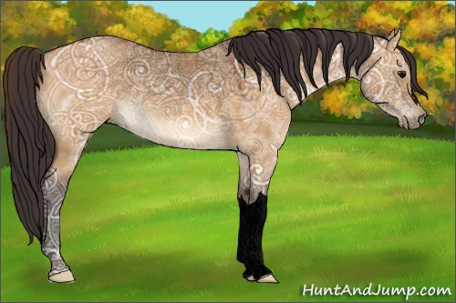 Horse Color:Void Buckskin Ice Dun 