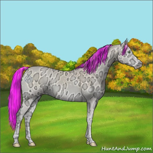 Horse Color:Painted Perlino Ice Onyx 