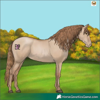 Horse Color:Grullo Pearl 
