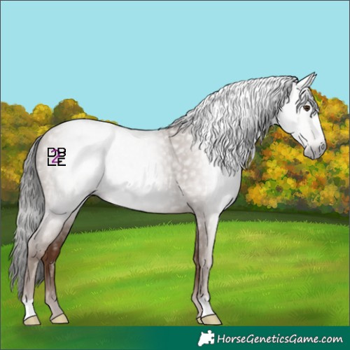 Horse Color:Gray Classic Champagne
