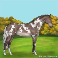 Horse Color:White Spotted Silver Brown Dun Mushroom 