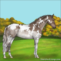 Horse Color:White Spotted Silver Brown Dun Mushroom 