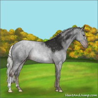 Horse Color:Liver Chestnut Mushroom Snowflake Varnish 