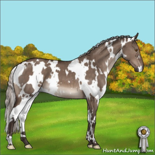 Horse Color:White Spotted Silver Brown Dun Mushroom 
