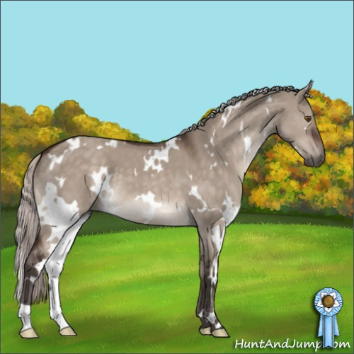 Horse Color:White Spotted Silver Brown Dun Mushroom