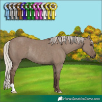 Horse Color:Silver Grullo Rabicano 