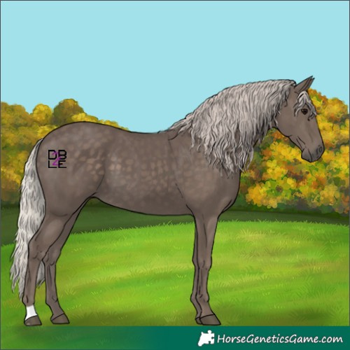 Horse Color:Silver Black 