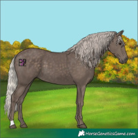 Horse Color:Silver Black 
