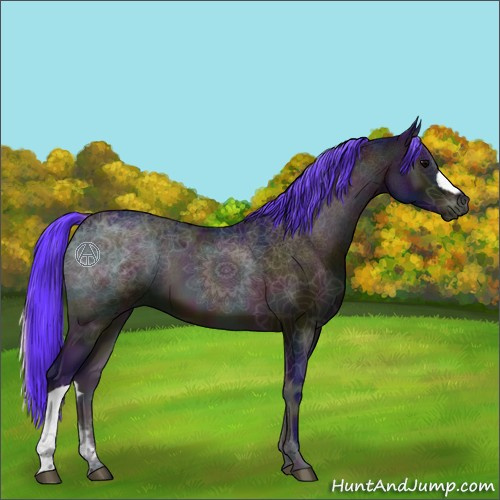 Horse Color:Watercolor Midnight Brown Ice Onyx 