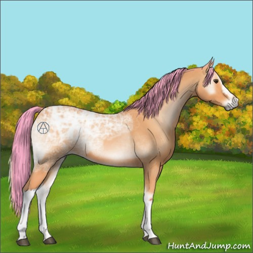 Horse Color:Watercolor Bay Ice Onyx 