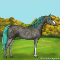 Horse Color:Watercolor Midnight Bay Ice Onyx 