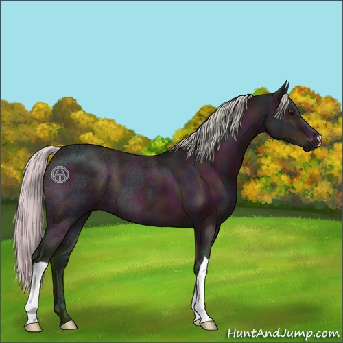 Horse Color:Watercolor Midnight Silver Bay Ice 