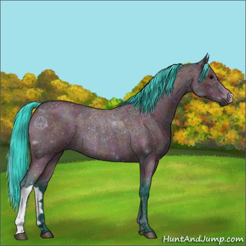 Horse Color:Watercolor Midnight Bay Roan