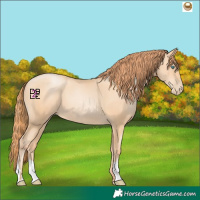 Horse Color:Amber Champagne Pearl 