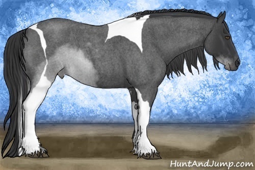 Horse Color:Blue Roan Tobiano 