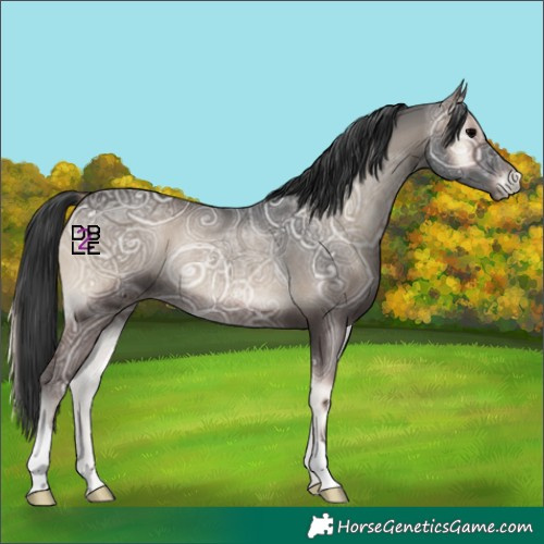 Horse Color:Blue Onyx Ice Rabicano 