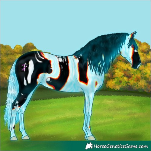 Horse Color:ERROR: UNKNOWN ANOMALY