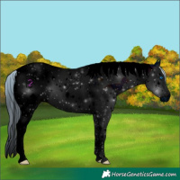 Horse Color:ERROR: UNKNOWN ANOMALY