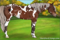 Horse Color:White Spotted Silver Brown Varnish