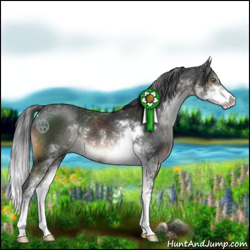 Horse Color:Brown Sabino 