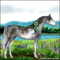 Horse Color:Brown Sabino 