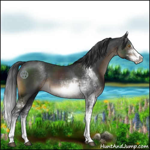Horse Color:Brown Sabino
