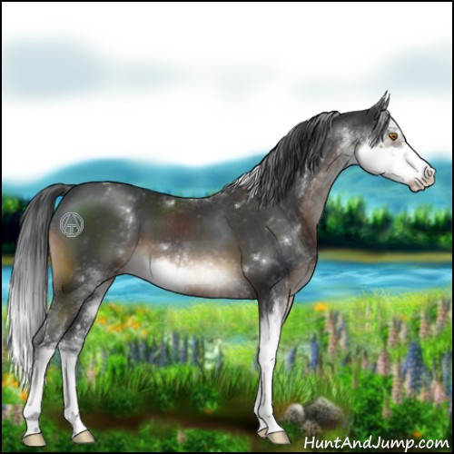 Horse Color:Brown Sabino