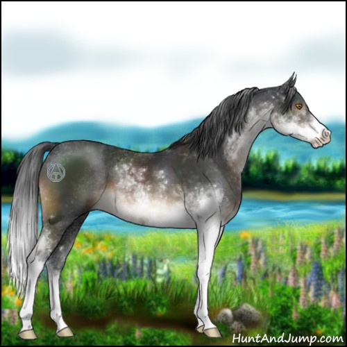 Horse Color:Brown Sabino 