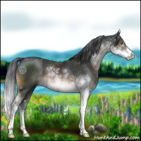 Horse Color:Brown Sabino 
