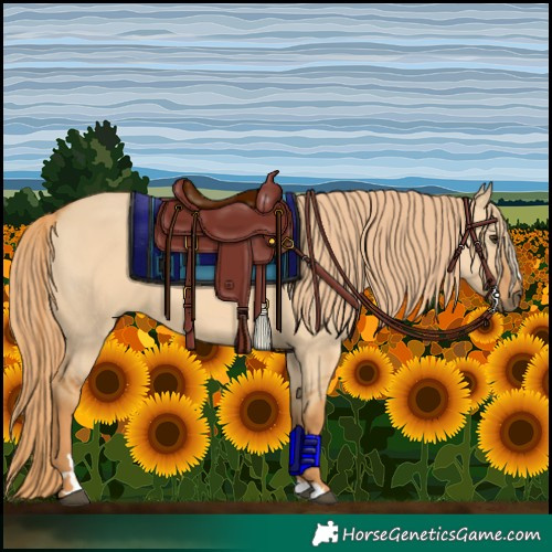 Horse Color:Red Dun 
