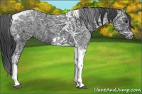 Horse Color:Black Ice Tobiano 