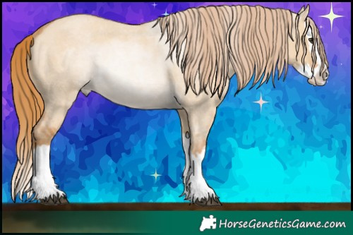 Horse Color:Red Dun Roan Splash Rabicano 