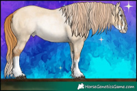 Horse Color:Red Dun Roan Splash Rabicano