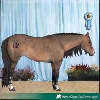 Horse Color:Bay Dun  and Bay Dun 