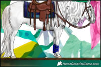 Horse Color:Gray White Spotted Chestnut Splash Rabicano 