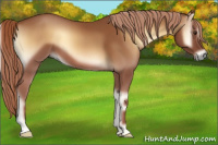 Horse Color:Red Onyx