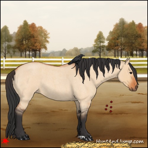 Horse Color:Bay Roan Dun 