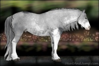 Horse Color:Black Sabino Rabicano 