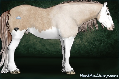 Horse Color:Red Dun Roan Splash 