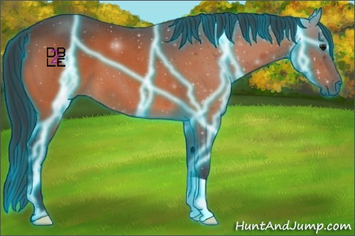 Horse Color:Thunderstruck Bay Roan