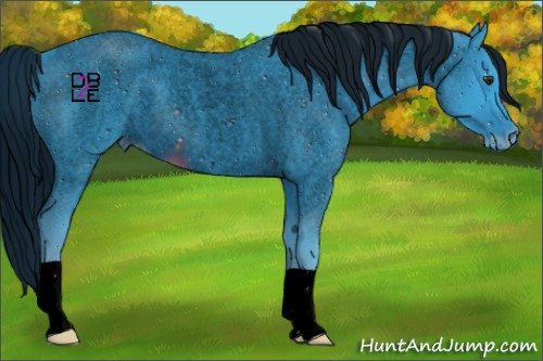 Horse Color:ERROR: UNKNOWN ANOMALY